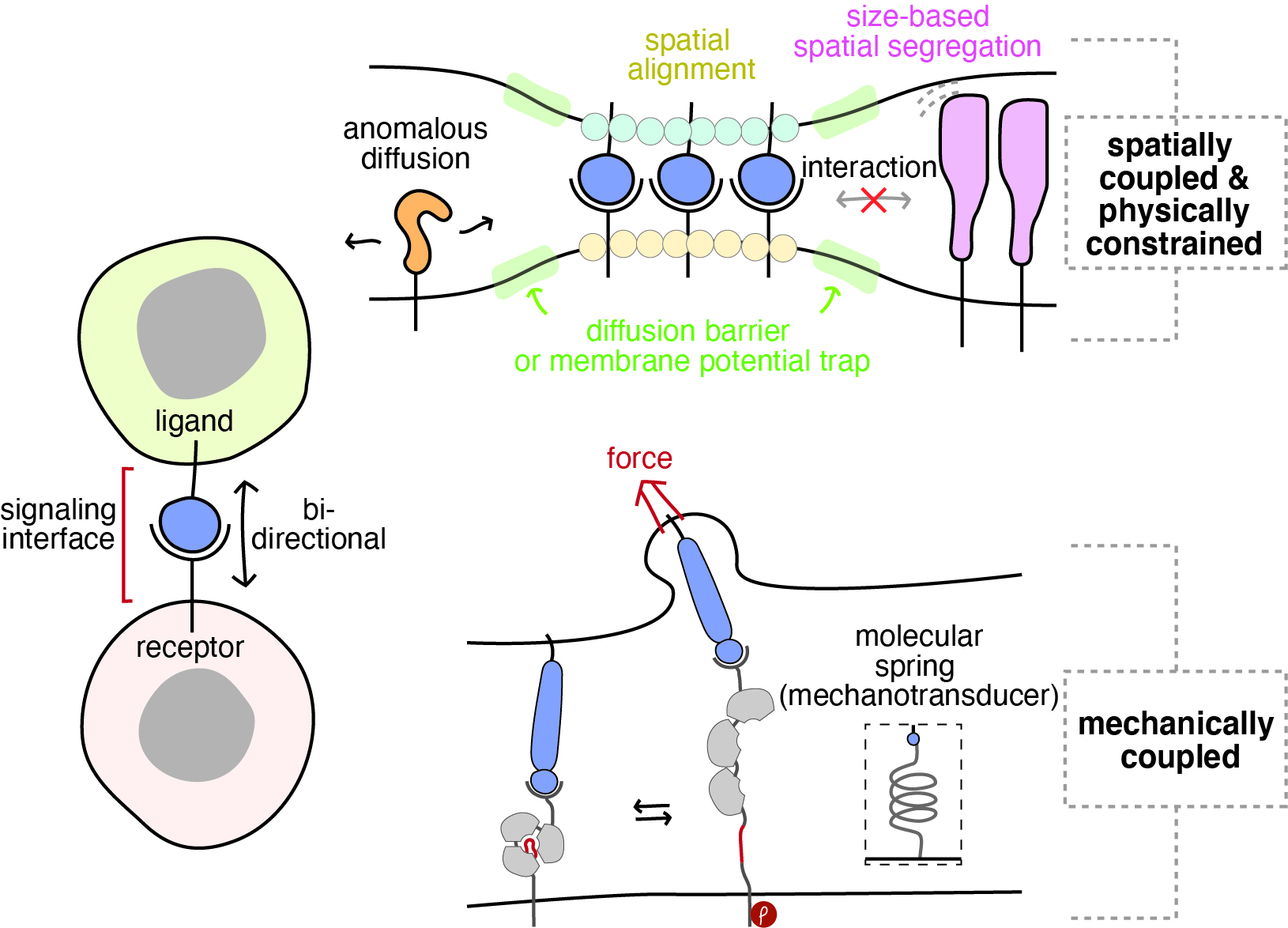 Research | The Jun Group